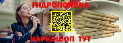 бошки Гагарин