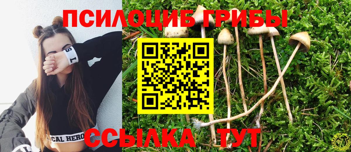 Псилоцибиновые грибы ЛСД Белореченск